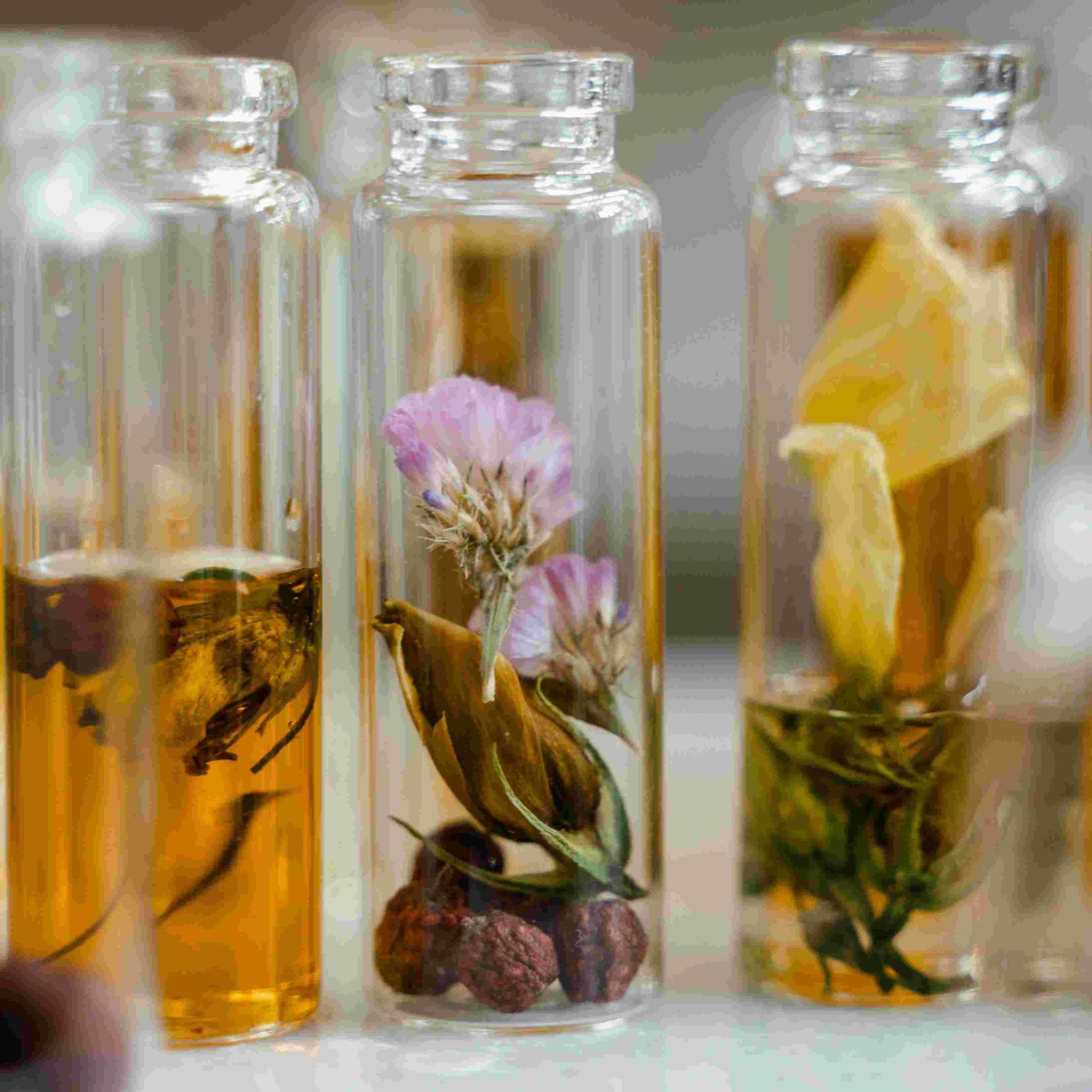 pexels-mart-production-8450212_ctverec_low